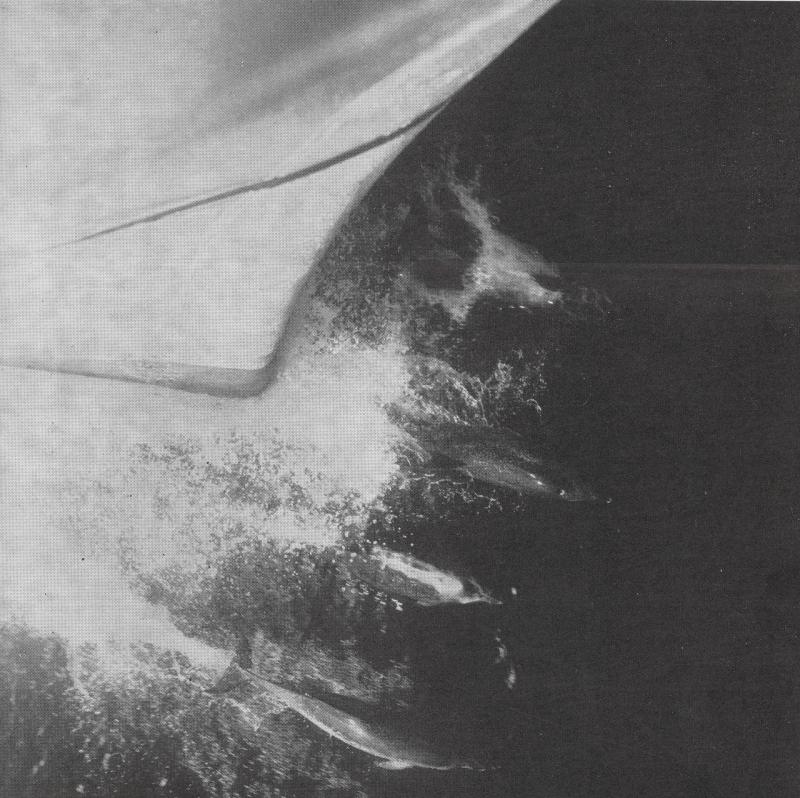 Notiziario &quot;C&quot;, n. 4, 1964