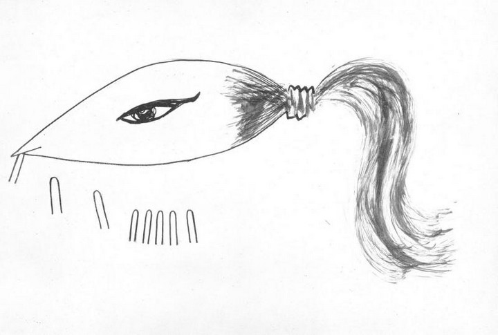 p. 17 - illustrazione di Guarino