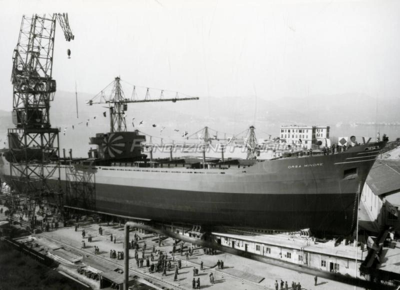 Orsa Minore (m/n) - varo