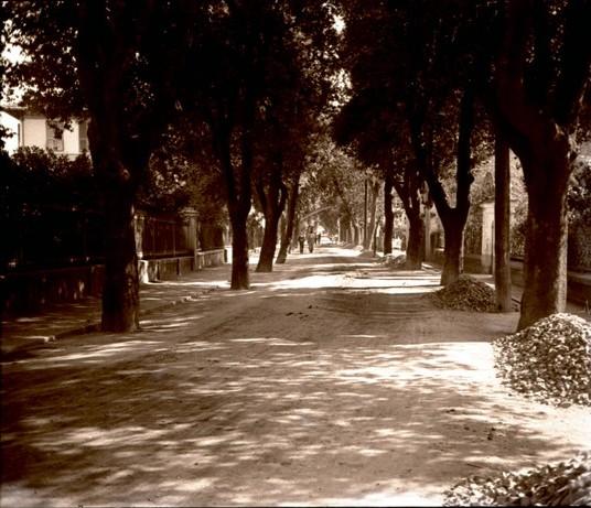 Rapallo -  viale