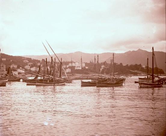 Santa Margherita Ligure - porto