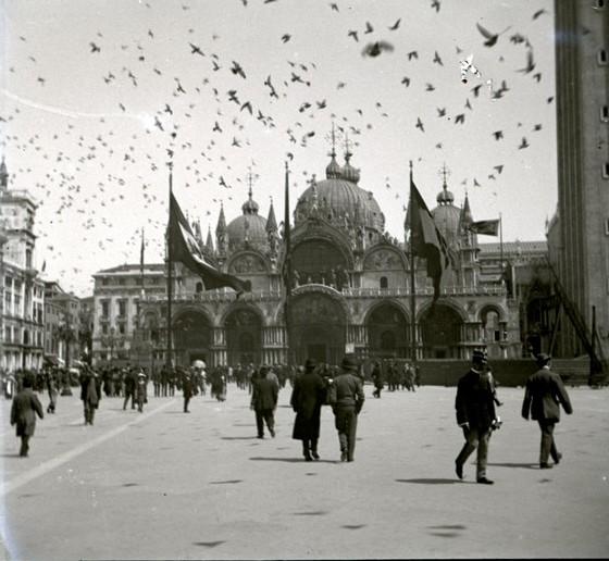 Venezia - piccioni