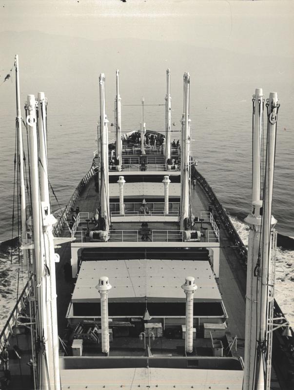 M/n Hermosa in navigazione