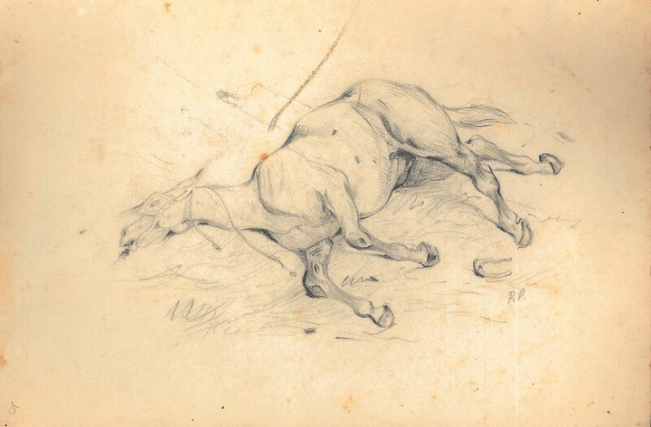 Cavallo stremato - disegno di Pietro Ramorino, seconda metà XIX sec.