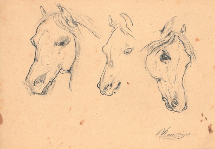 Equini - disegno di Pietro Ramorino, seconda metà XIX sec.