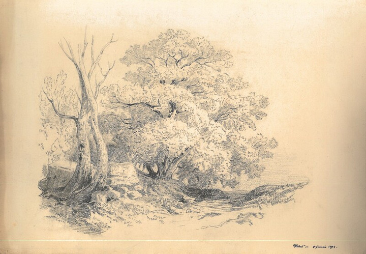 Natura, 8 gennaio 1892