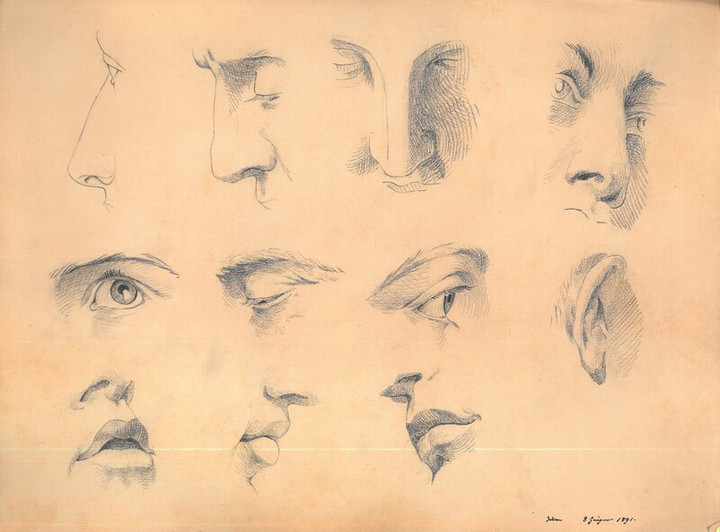 Dettagli di volto (copia di Julien), 8 giugno 1891