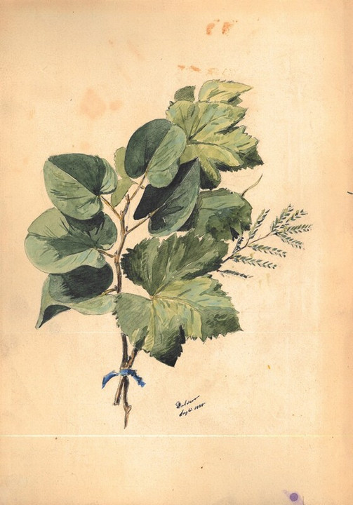 Foglie dal vero, luglio 1888