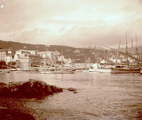 Santa Margherita Ligure - paranze