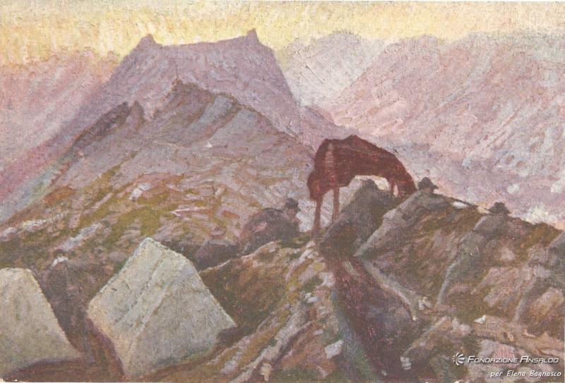 Parodi Emanuele Vittorio - cartolina