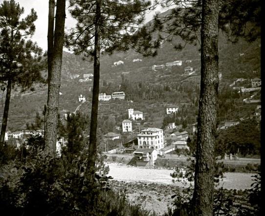 Serino - pineta