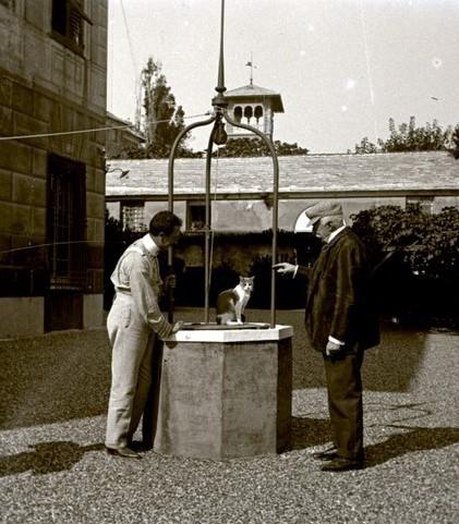 Ciarello
