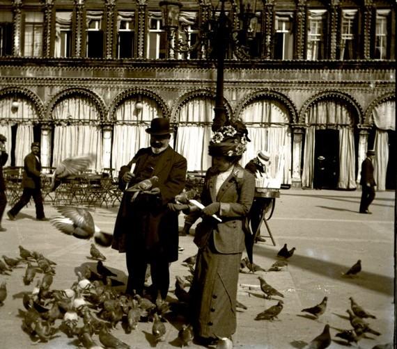 Venezia - piccioni