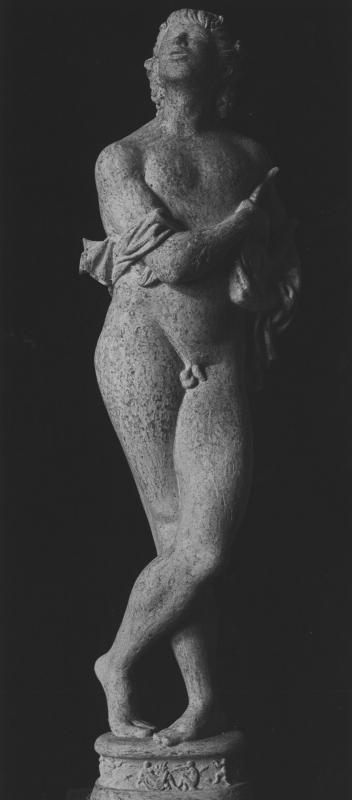 Mascherini - Apollo definitivo