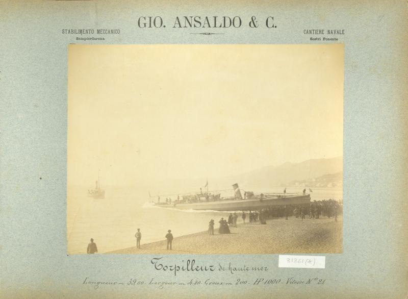Torpediniere da alto mare, s.d. (FP.031861)
