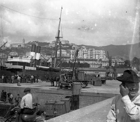 Genova - ponte Federico Guglielmo