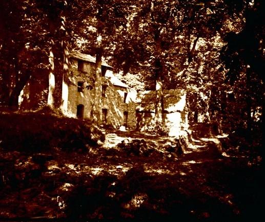 Ovada - bosco di Monterosato