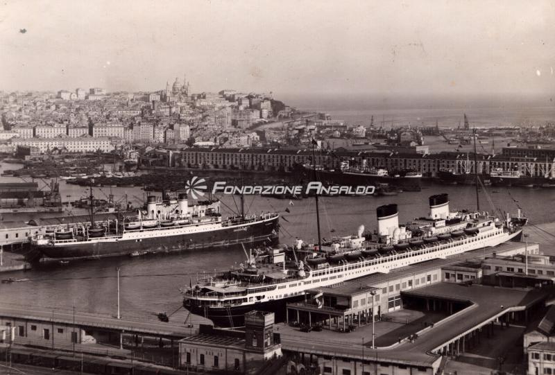 Rex (t/n) - in porto