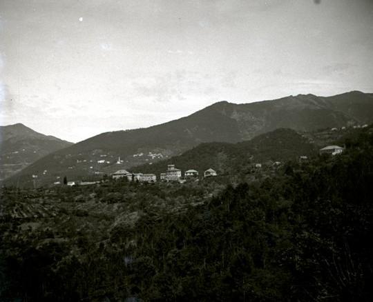 Panorama