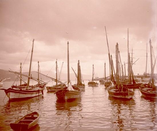 Santa Margherita Ligure - paranze