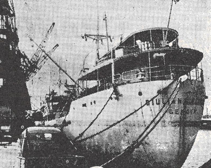 Nave bananiera "Giuliana Fassio"
