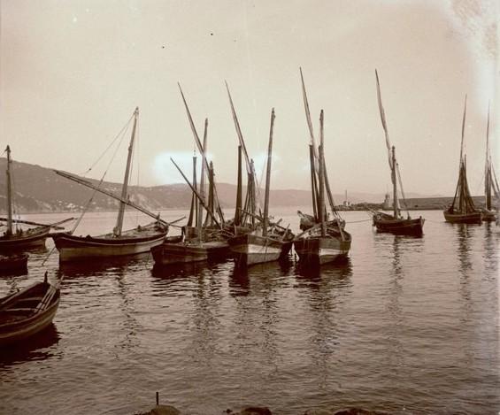 Santa Margherita Ligure - barche a vela