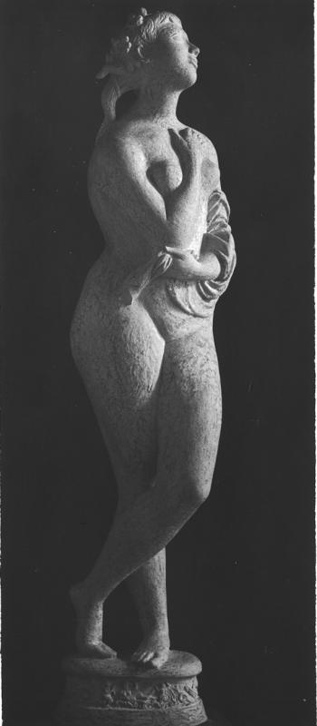 Mascherini - Venere definitiva