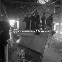 Pinna (dragamine)