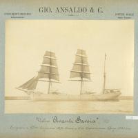 Veliero Avanti Savoia, 1891 (FP.031877)