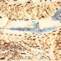 Leonardo da Vinci - carta geografica della zona tra Toscana meridionale e Umbria: orografia a sfumo, acque in azzurro, paesi e città indicati con piccole vedute prospettiche - p. 56