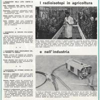 I radioisotopi in agricoltura e nell'industria, p. 2