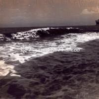 Rex (t/n) - in navigazione