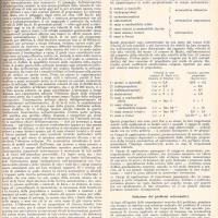 Editoriale di Glauco Partel, luglio-agosto 1955, anno III, n. 4, p. 13