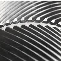 Copertina -  Corona dentata del pignone di prima riduzione per un turboriduttore marino da 32.500 cav. asse, L'Ansaldino, n. 6, anno XVI, 1969
