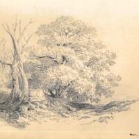 Natura, 8 gennaio 1892