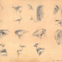 Dettagli di volto (copia di Julien), 8 giugno 1891