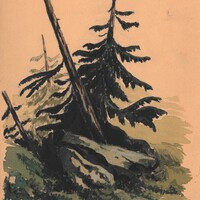 Abete, agosto 1888