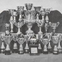Quante coppe ha vinto la squadra calcistica?