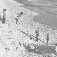 "Bianco e Nero", foto premiata di Maurizio Parodi