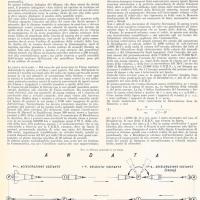 Cosmonautica, possibilità e limiti di G.A. Crocco, settembre - novembre 1957, anno V, nn. 5-6, p. 8