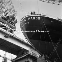 Donatella Parodi (m/n) - varo