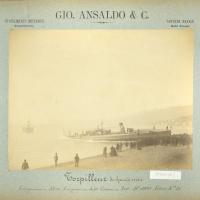 Torpediniere da alto mare, s.d. (FP.031861)
