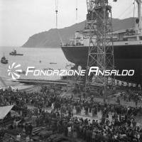 Donatella Parodi (m/n) - varo