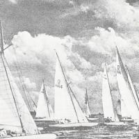 Una panoramica di una caratteristica regata