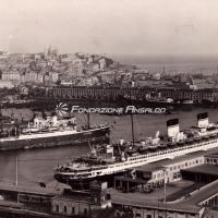Rex (t/n) - in porto