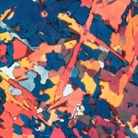 Microfotografia di un acciaio fuso ripresa dal prof. Scortecci dell'Università mdi Genova,  maggio 1954, anno II, n. 3 - p. 50