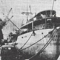 Nave bananiera "Giuliana Fassio"