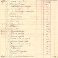 Quarta campagna; 1874