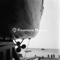 Pinna (dragamine)